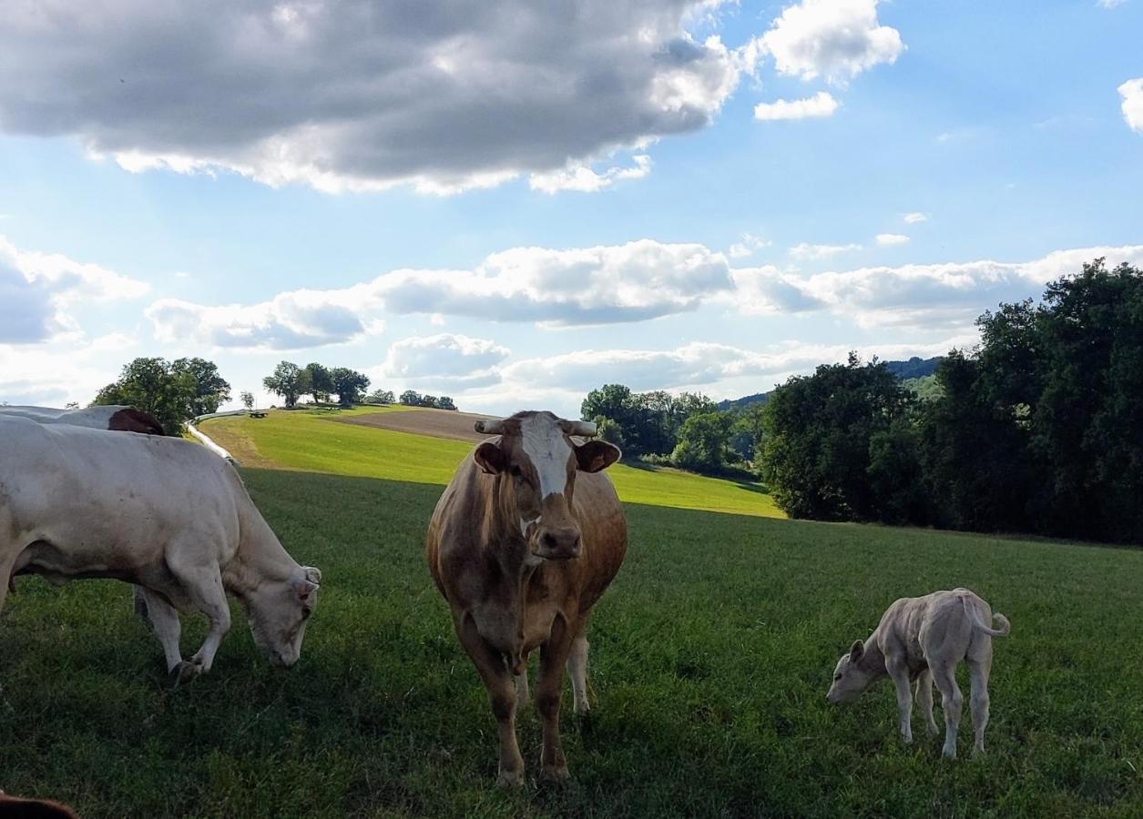 Les Gites De Campardon Monties Esterno foto