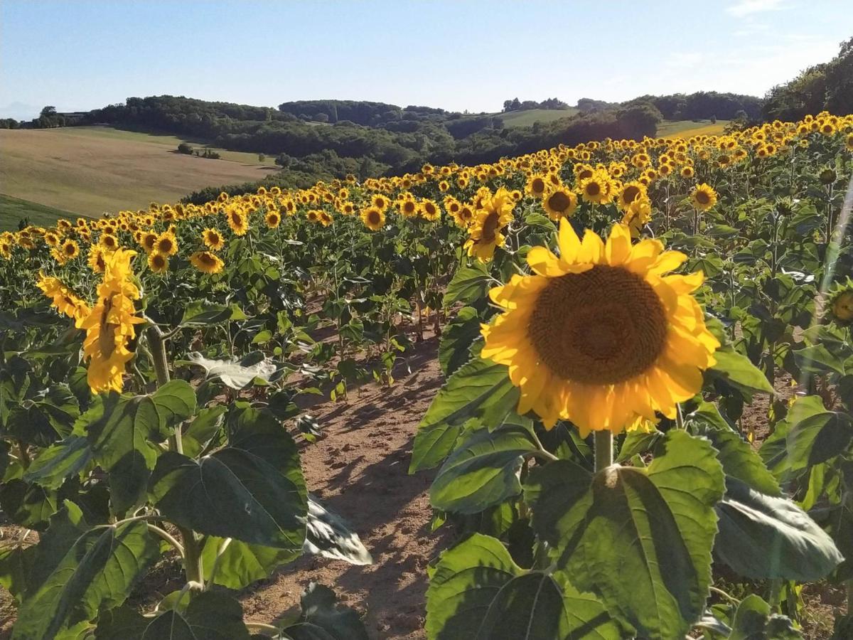 Les Gites De Campardon Monties Esterno foto