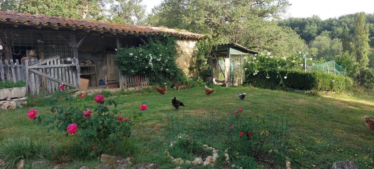 Les Gites De Campardon Monties Esterno foto