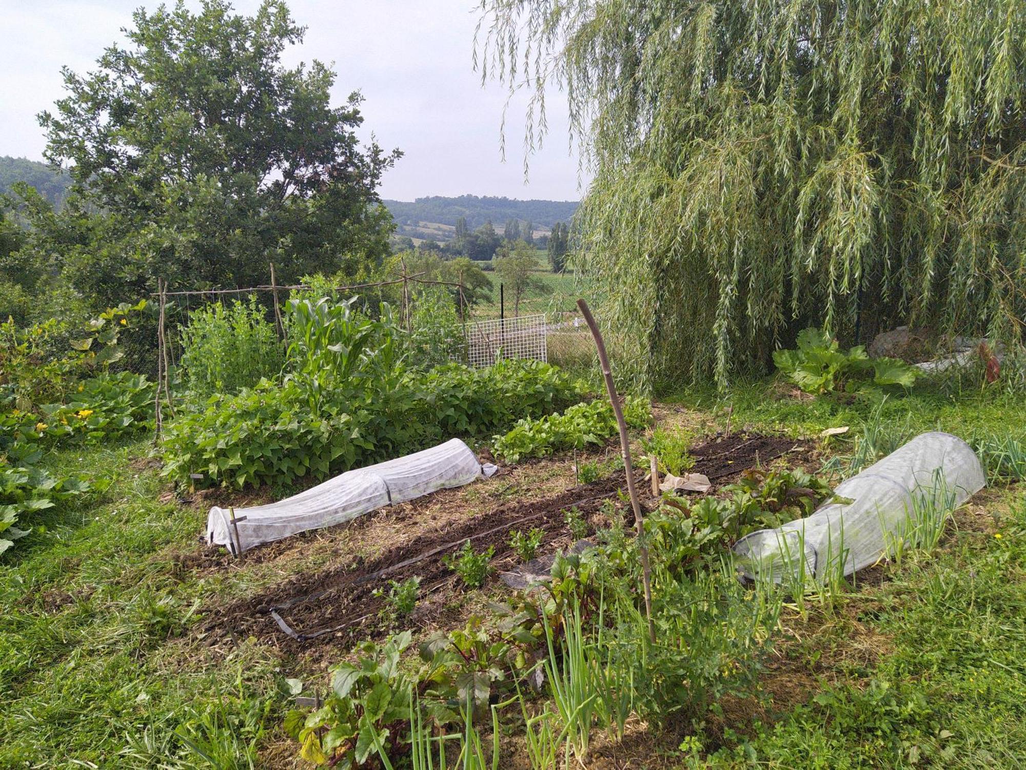 Les Gites De Campardon Monties Esterno foto
